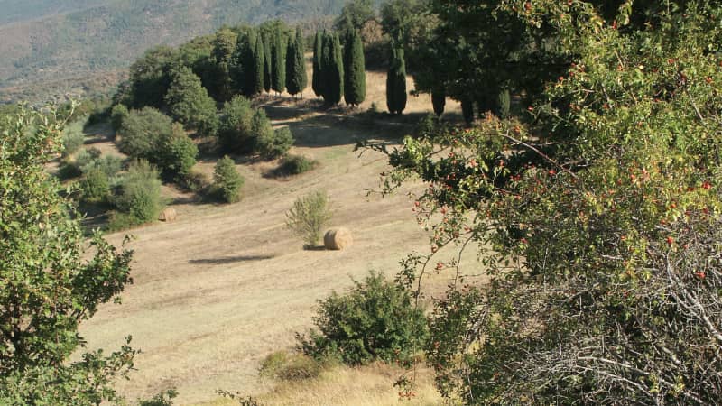 Landschaft | Toscana, Italien