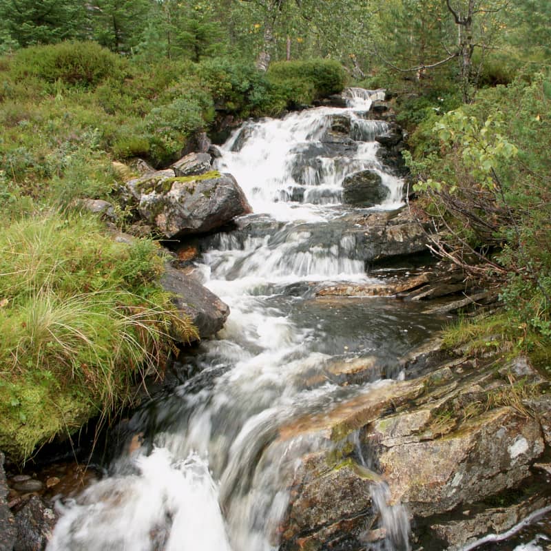 Bachlauf | Vestland, Norwegen