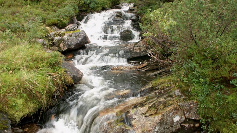 Bachlauf | Vestland, Norwegen